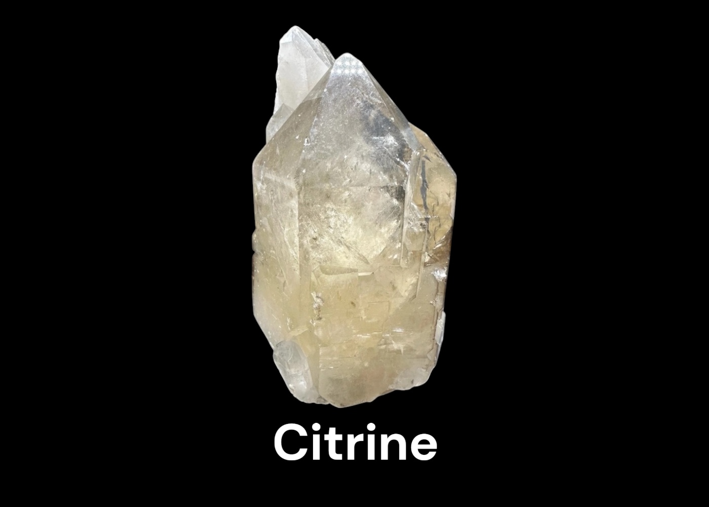 Citrin